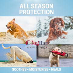 Paw Soother for Dogs, Nourishing Butter