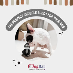 Mr. Joe - The Gorilla Squeaky Toy for Dogs