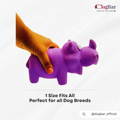 Mr. Muddy - The Rhino with Squeaker Toy for Dogs