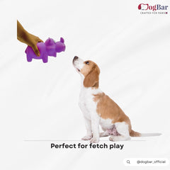 Mr. Muddy - The Rhino with Squeaker Toy for Dogs