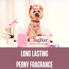 Anti Itch Pet Shampoo and Conditioner - 500 ML