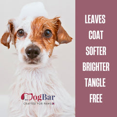 Anti Itch Pet Shampoo and Conditioner - 500 ML