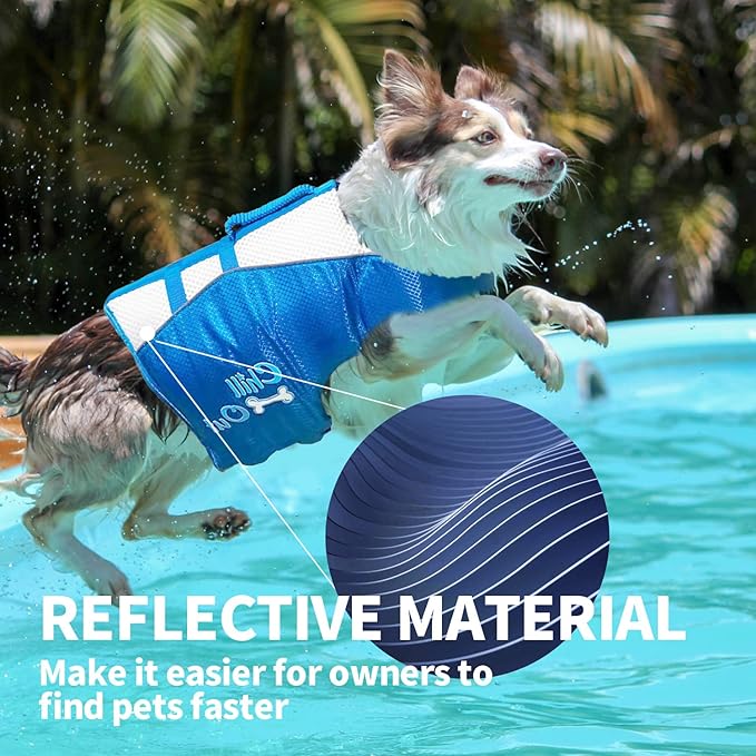 Best jacket for dogs