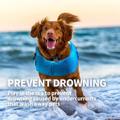 Safety jacket for dogs